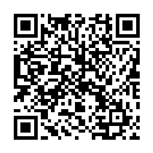 哪怕是站在百米之外拖光光的也会被尊主一巴掌拍成肉泥二维码生成