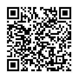 哪怕是职员家属也是绝对不可能被允许进入这里的二维码生成