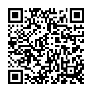 哪怕是药王孙青木此时都感觉到自己的界正在松动二维码生成