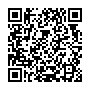 哪怕是被当今天子御赐为本朝第一国手的棋坛圣手范长后二维码生成