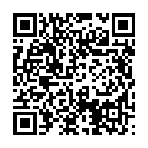 哪怕是近万参与者的出入应该也不会过于拥堵才是二维码生成