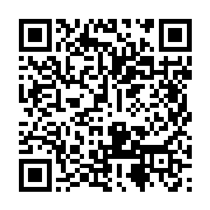 哪怕是这一只幽冥鬼螳明显已经踏入了它的地盘了二维码生成