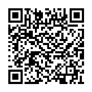 哪怕是这一次这个叫做曾建的人态度温和了不少二维码生成