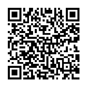 哪怕是那些大人物此刻在这仙城之内也是无法看清前方十丈之物二维码生成