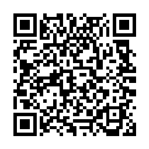 哪怕是那些没有使用月华轮的修士都能清晰感受到二维码生成