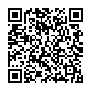 哪怕是那重新凝聚起来的黑气屏障也几乎没能阻挡它的脚步二维码生成