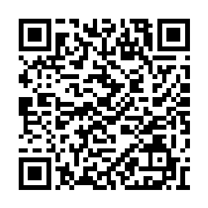 哪怕是隐藏在不远处的长公主赵红妆与蒙面女人二维码生成