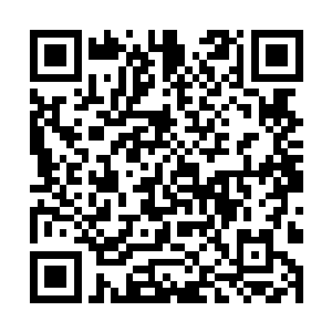 哪怕是黑星大帝武英奇或者超级晶脑伏羲这样的敌人二维码生成