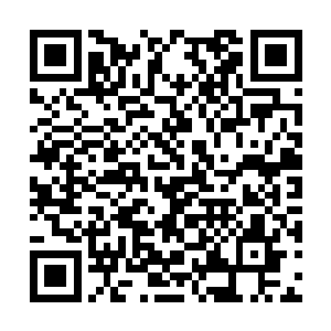 哪怕是龙傲天也不敢随意的在天古荒域的上空飞驰二维码生成