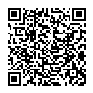 哪怕曾经知道老九在战场上受了伤他也只能去想象老九的伤势而没有真的见到二维码生成