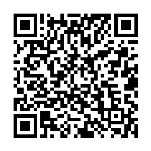 哪怕有着龙元丹无时不刻不间断吸收转化元力的功效二维码生成