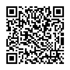 哪怕李太后这个过来人也全然不明白女儿中了什么邪二维码生成