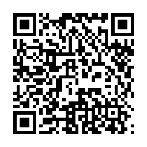哪怕极光苍焱和焚天帝尊指的融合度比不上圣炎轰天拳二维码生成