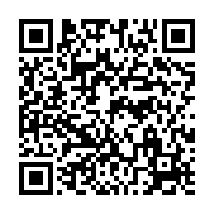 哪怕此刻他已经被那从剑阵中所散发出的恐怖杀机所锁定二维码生成