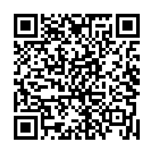 哪怕此刻青云石阶上打的天崩地裂外面也是感应不到一点二维码生成