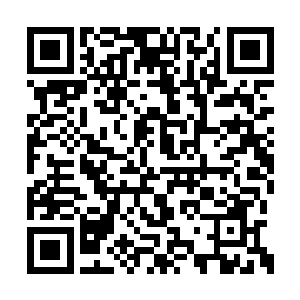 哪怕现在他们都还不知道祭台上到底有什么东西二维码生成