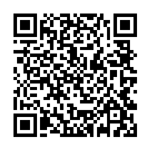 哪怕许紫烟此时的本体强度已经达到了地尊中期巅峰二维码生成