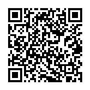 哪怕这一百万美元是将来三年时间内两张专辑的所得二维码生成