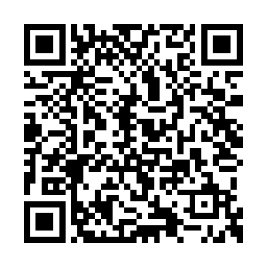 哪怕这个看上去浓眉大眼的守护骑士也不例外啊二维码生成