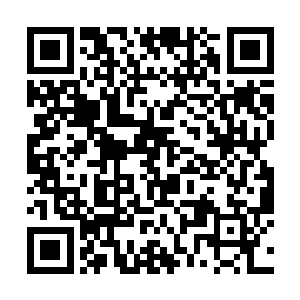 哪怕这些先烈当中有的实力还没有没有达到尊者境界二维码生成