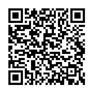 哪怕这位不知道什么来历的女子是七品传奇宗师二维码生成