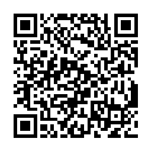 哪怕这其中的两个不朽强者是利用外力才完成的突破二维码生成