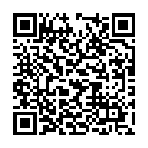 哪怕这种杀念就纯粹是因为你那种无比荒谬的梦境二维码生成