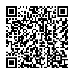 哪怕道法到了一定的层次大先生这三个字于我而言也是遥遥无期的二维码生成