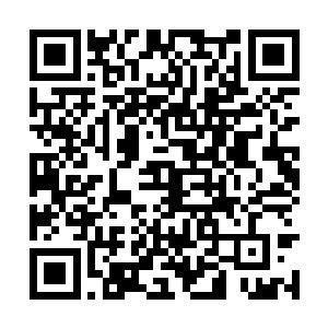 哪想到……韩风此刻却没有理会邵建雄等人的震惊二维码生成