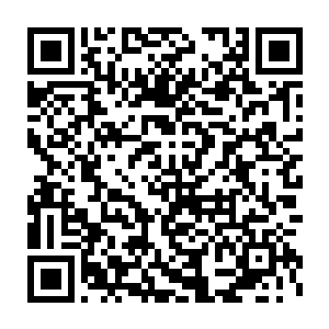 哪有他堂堂两殿殿主兼宫中行走之尊候在山门外等我这小小府主召见的二维码生成