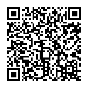 哪来是皖山市的那些老狐狸提到她张艳都不得不佩服的竖起大拇指二维码生成