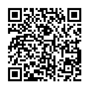 哪知后来拐弯抹角了解到这些人的目标是王伦未来的压寨夫人二维码生成