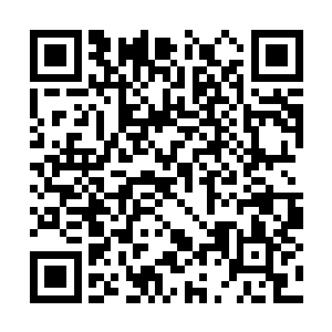 哪知道一过来就听到了王姨娘对太夫人说的这番话二维码生成