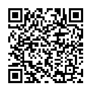 哪知道这死了不知道多少年的大帝如今会是什么个样子二维码生成