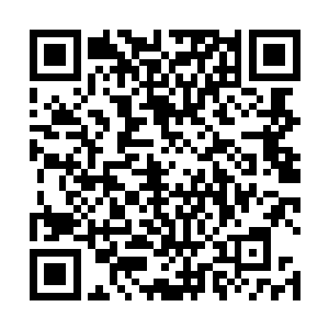 哪能想到原来国教学院里的那些家伙们早就已经知道了二维码生成