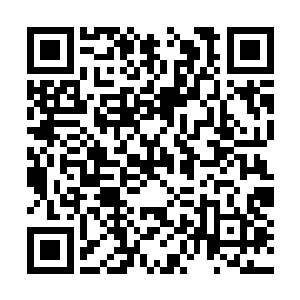 哪还不了解这真龙如果真给老家伙召唤出来的厉害二维码生成