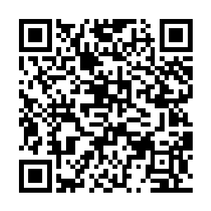 哪里会动不动就要站在别人的头上代表这个代表那个二维码生成