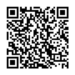 哪里会去查看两个贵气逼人的东南亚年轻富豪的身份二维码生成