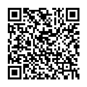 哪里又能知道大地骑士的境界和世界是什么样的二维码生成