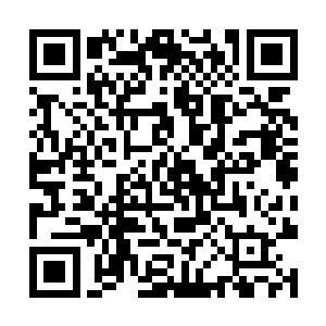 哪里想到刚进入混乱之地没有多久就被直接的抓住了二维码生成