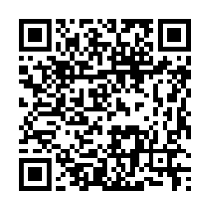 哪里想到屋子里的这三头必死无疑的囚鸟也能挣飞出来二维码生成