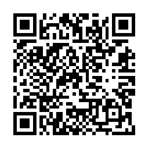 哪里接触过这等世俗之中如军队列阵一般的对抗二维码生成