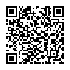 哪里是锻炼他战技和快速提高他的战力的最好场所二维码生成