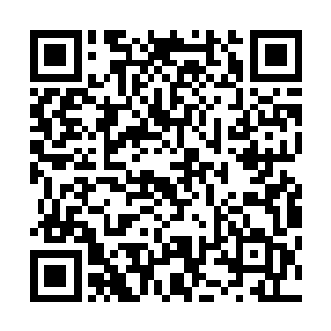 哪里能够亲眼见到这位当年名动北凉如今名动天下的年轻人二维码生成