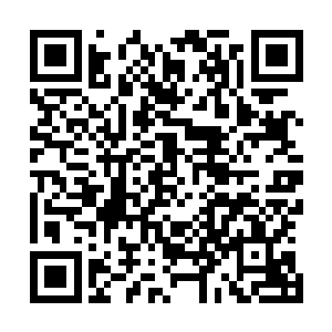 哪里能逃得过尸阴宗那些化神期以及合体期修真者的轰炸呢二维码生成