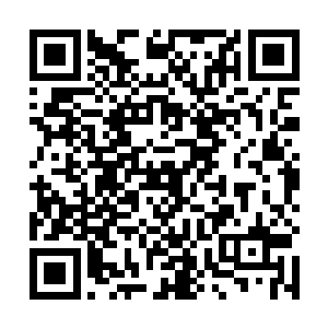 哪里象是在燕地用几十万人鲜血染红了身上官袍的凶神二维码生成