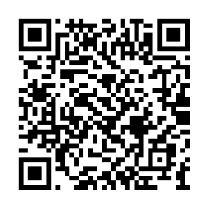 哪里轮到这个多嘴多舌的后生仔在这里指指点点二维码生成