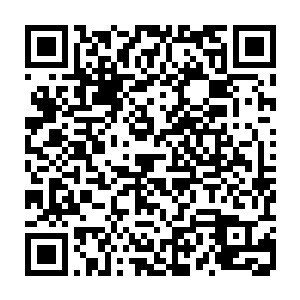 哪里还不知道这一次严加林和肖克明的倒霉和情人酒吧的老板李梦雪有关二维码生成