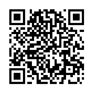 哪里还有有这种精确到小数点的概率预测二维码生成