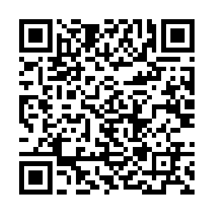 哪里还顾得上去管这些攻向它的黑水毒箭和黑水毒雷二维码生成